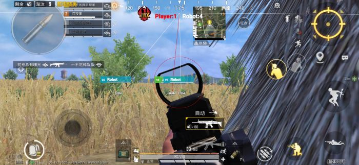 PUBG98k辅助ios（使用PUBG98k辅助的法律风险有哪些？）
